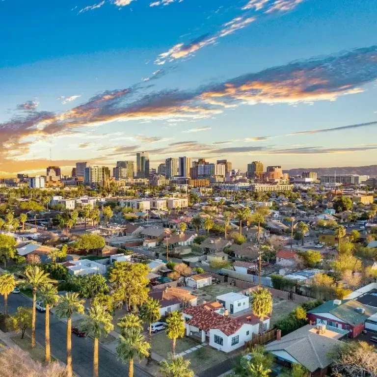Suburban neighborhood with palm trees in foreground and city skyline under a partly cloudy sky.