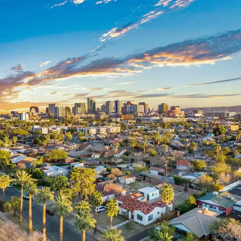Suburban neighborhood with palm trees in foreground and city skyline under a partly cloudy sky.