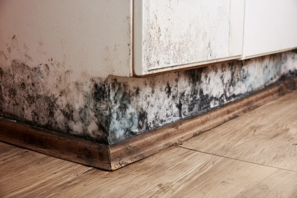 Prescott, AZ Water Damage Restoration