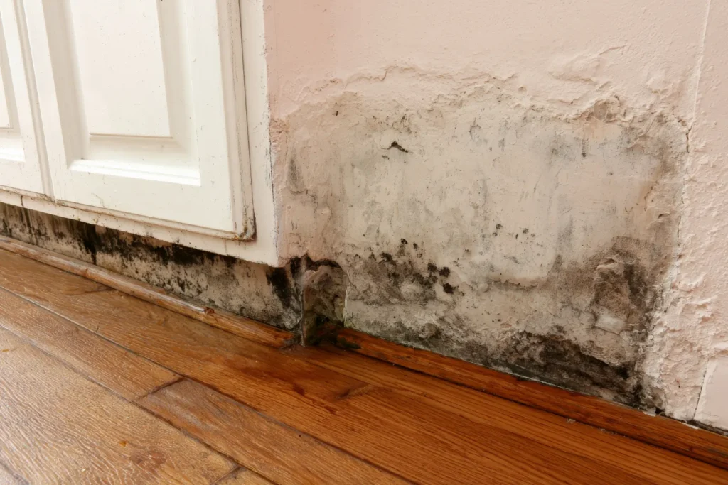 Tucson, AZ Water Damage Restoration