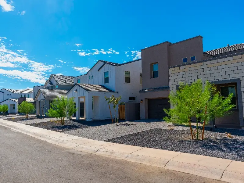 Row of modern suburban houses with small trees and gravel landscaping under a clear blue sky.