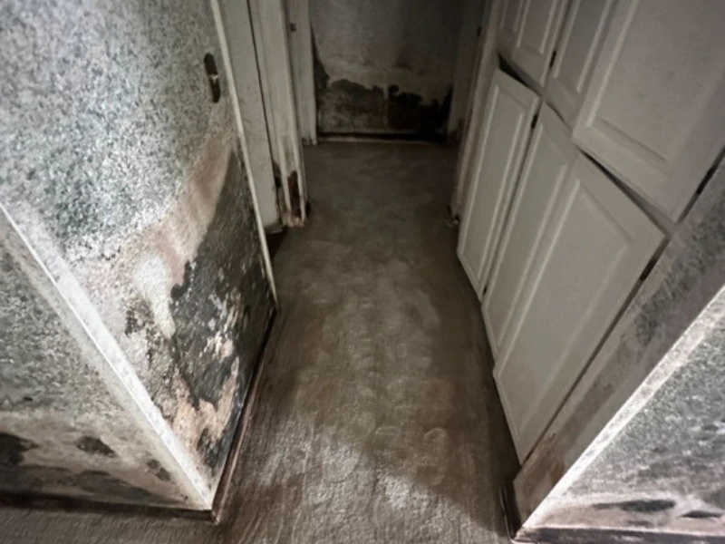 Hallway with extensive mold and water damage on walls and cabinets.