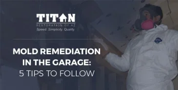 Mold-Remediation-in-the-Garage