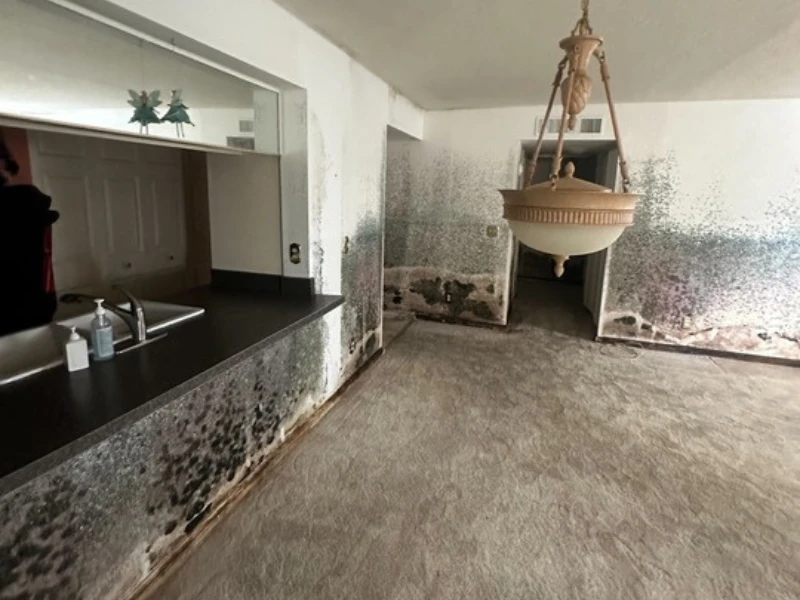 Walls and lower surfaces in a room covered with extensive black mold and water damage.
