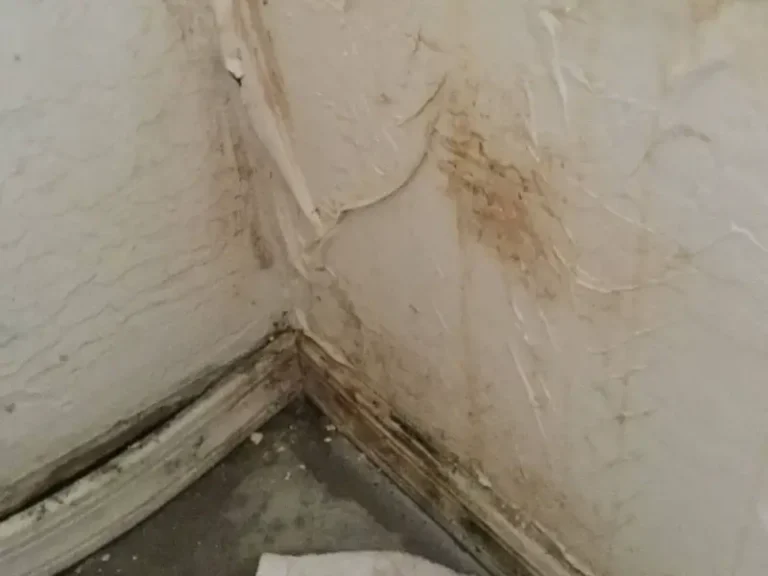Corner of a room with peeling paint, mold, and water damage on the walls and baseboard.