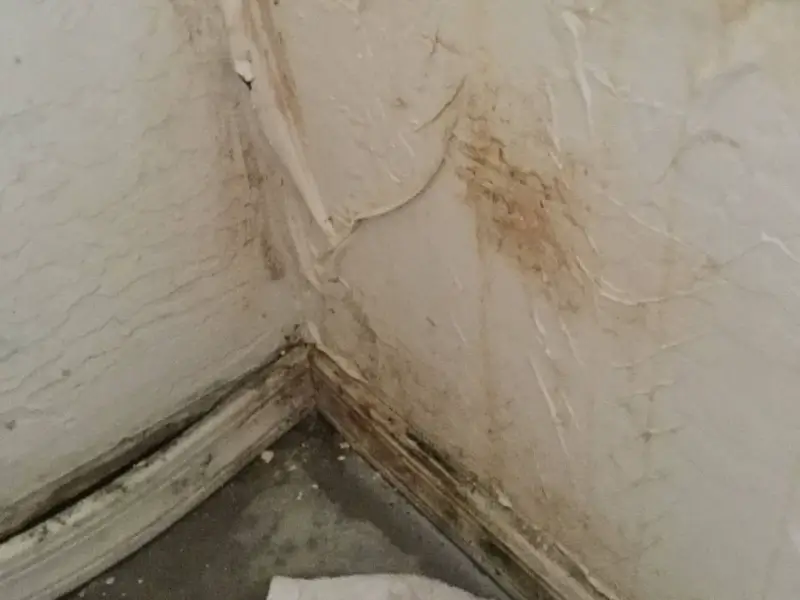 Corner of a room with peeling paint, mold, and water damage on the walls and baseboard.